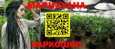 винт Кингисепп