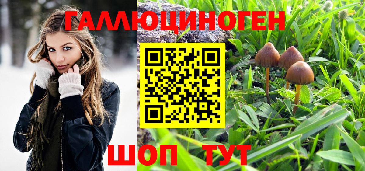 Галлюциногенные грибы ЛСД Грозный
