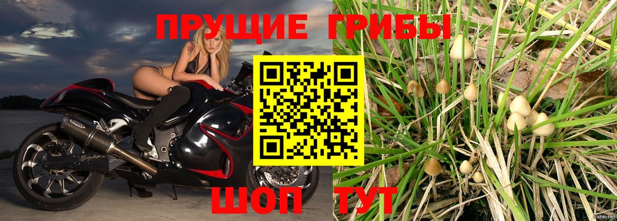 Галлюциногенные грибы мухоморы  Вход с VPN  Псилоцибиновые грибы Cubensis  Грозный 