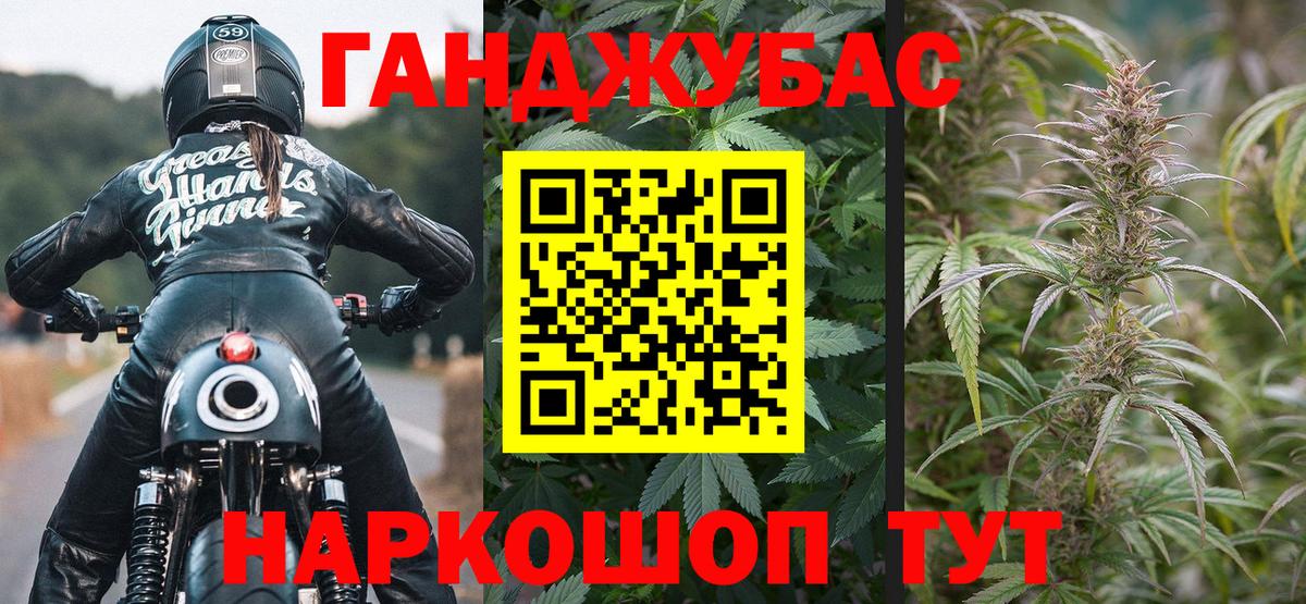 Бошки Шишки сатива Грозный